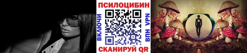 как найти закладки  Ковылкино  Псилоцибиновые грибы Cubensis 
