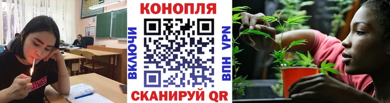 Шишки марихуана сатива  Ковылкино 